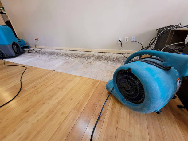 Professional Water Damage Repair technician working in Milledgeville, TN
