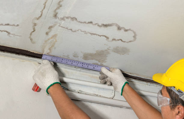 Affordable Water Damage Repair solutions in Milledgeville, TN